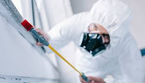 Best Residential Pest Control  in Van Alstyne, TX